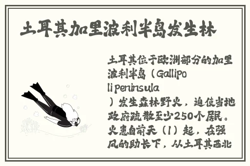 杨玉环乳液狂飙
